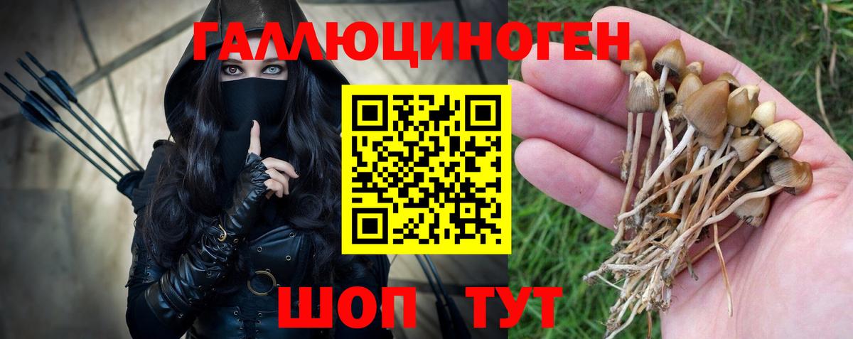 Псилоцибиновые грибы Cubensis Семилуки